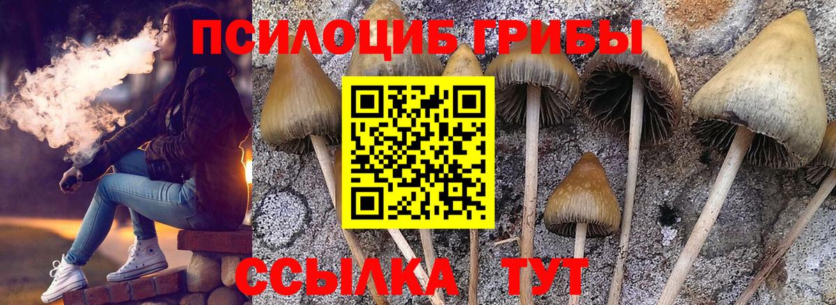 Галлюциногенные грибы Magic Shrooms  Вход с VPN  Дедовск 